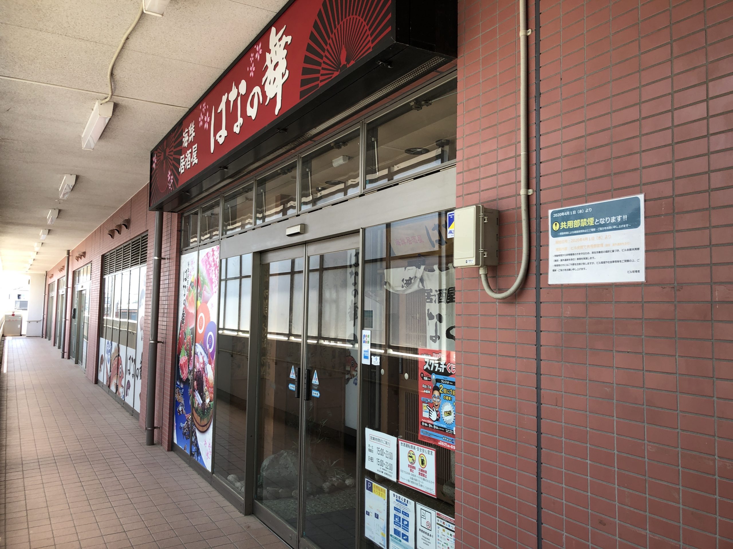 花野舞 