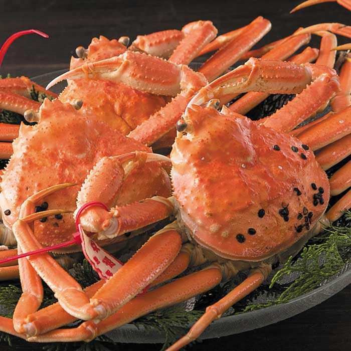 コンセプト画像